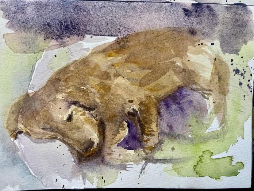 Sketch 7, a painting by Juan Pabrua